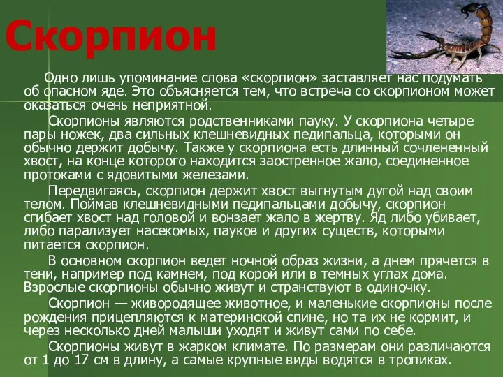 Скорпион Одно лишь упоминание слова «скорпион» заставляет нас подумать об опасном