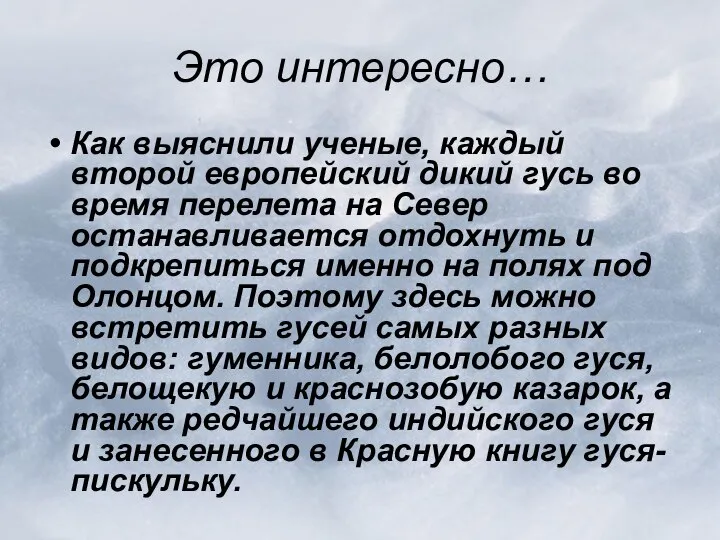 Это интересно… Как выяснили ученые, каждый второй европейский дикий гусь во