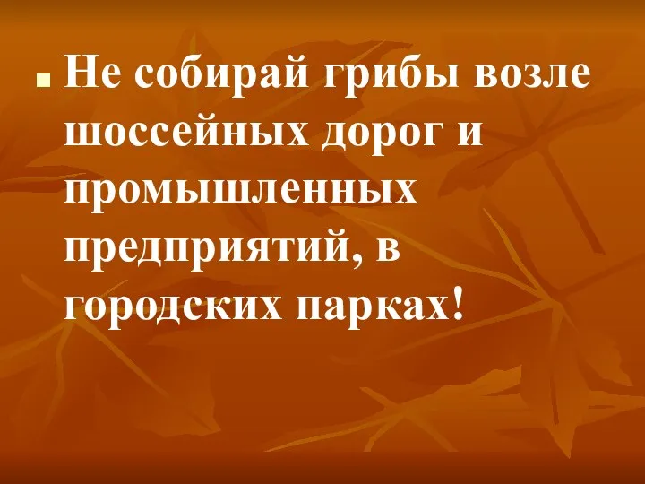 Не собирай грибы возле шоссейных дорог и промышленных предприятий, в городских парках!