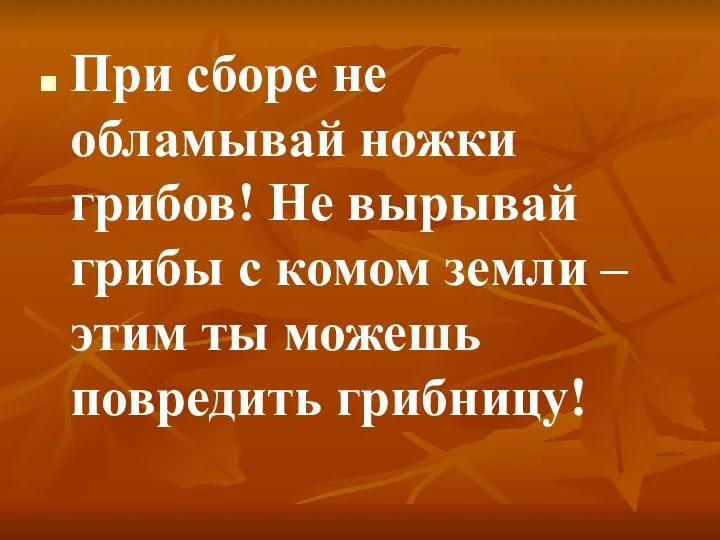 При сборе не обламывай ножки грибов! Не вырывай грибы с комом