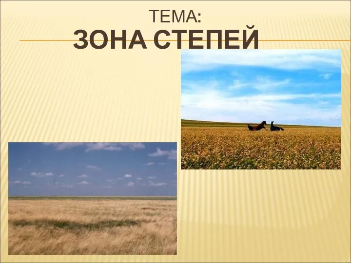 ТЕМА: ЗОНА СТЕПЕЙ