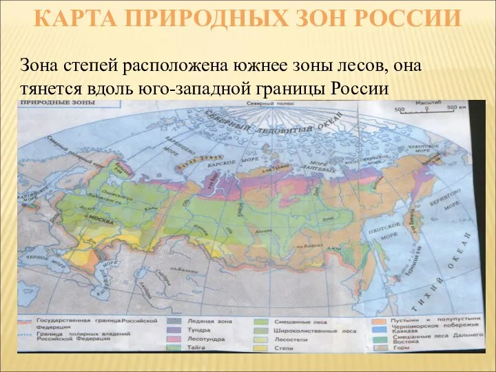 КАРТА ПРИРОДНЫХ ЗОН РОССИИ Зона степей расположена южнее зоны лесов, она тянется вдоль юго-западной границы России