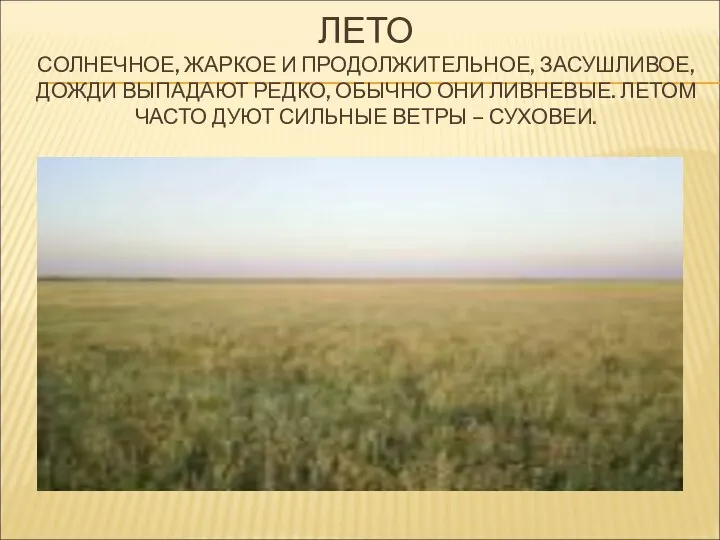 ЛЕТО СОЛНЕЧНОЕ, ЖАРКОЕ И ПРОДОЛЖИТЕЛЬНОЕ, ЗАСУШЛИВОЕ, ДОЖДИ ВЫПАДАЮТ РЕДКО, ОБЫЧНО ОНИ