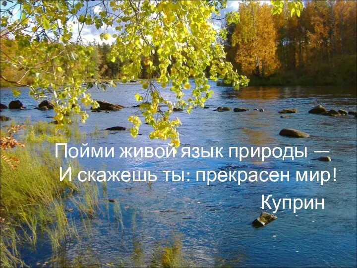 Пойми живой язык природы — И скажешь ты: прекрасен мир! Куприн