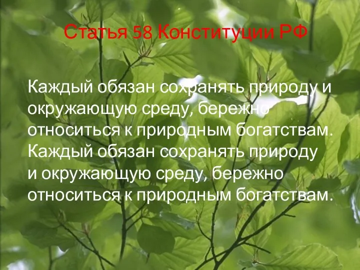 Статья 58 Конституции РФ Каждый обязан сохранять природу и окружающую среду,