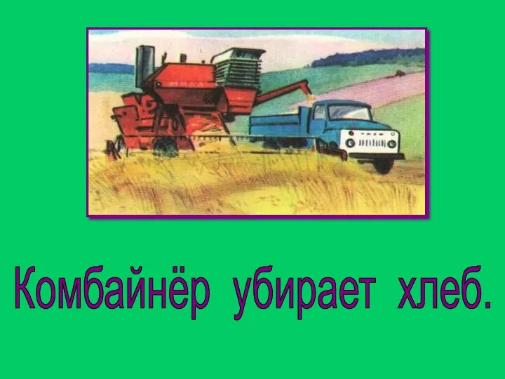 Комбайнёр убирает хлеб.