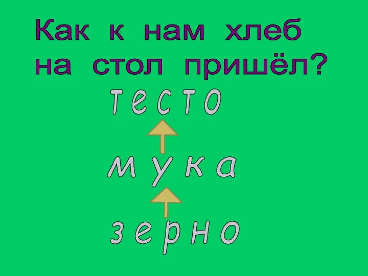 Как к нам хлеб на стол пришёл? т е с т