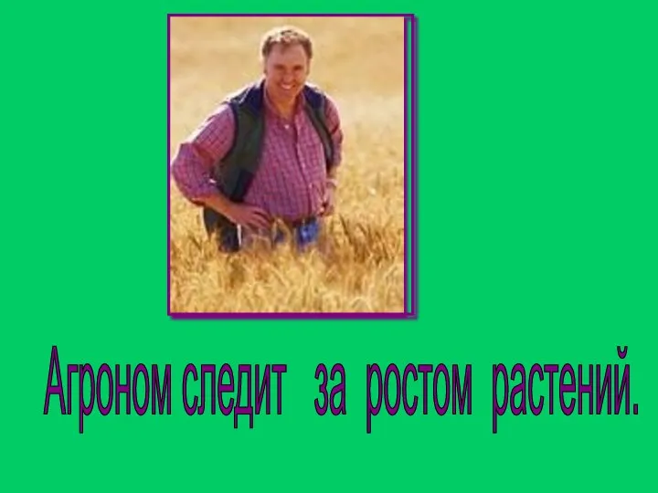 Агроном следит за ростом растений.