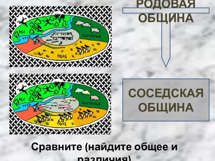 РОДОВАЯ ОБЩИНА СОСЕДСКАЯ ОБЩИНА Сравните (найдите общее и различия)