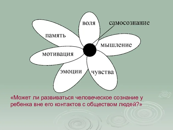 «Может ли развиваться человеческое сознание у ребенка вне его контактов с обществом людей?»