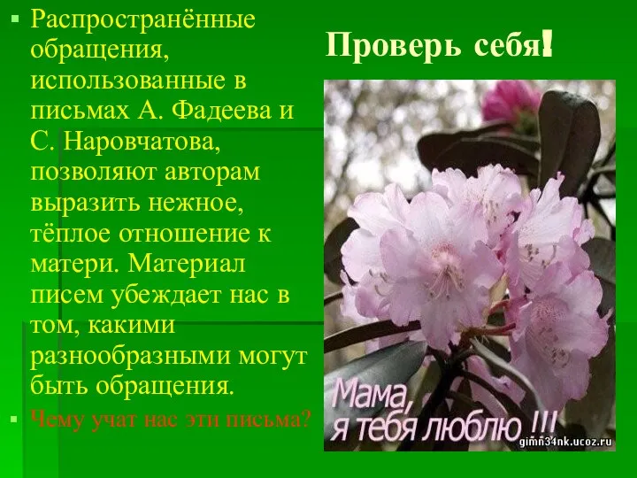 Проверь себя! Распространённые обращения, использованные в письмах А. Фадеева и С.