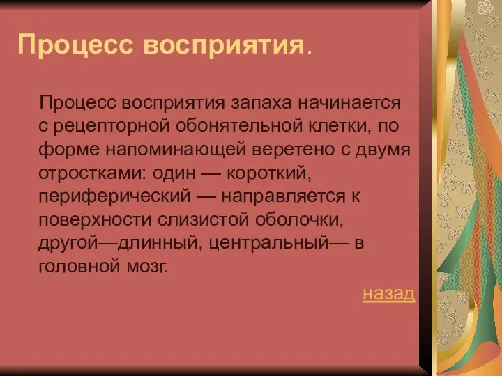 Процесс восприятия. Процесс восприятия запаха начинается с рецепторной обонятельной клетки, по