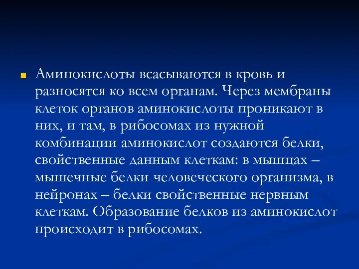 Аминокислоты всасываются в кровь и разносятся ко всем органам. Через мембраны