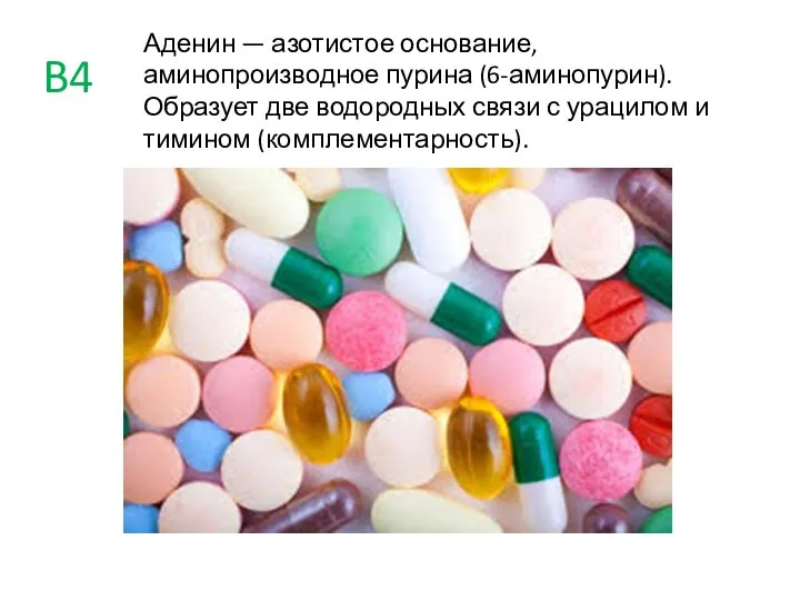 B4 Аденин — азотистое основание, аминопроизводное пурина (6-аминопурин). Образует две водородных