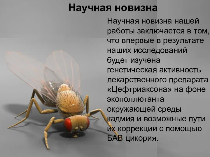 Домащенко А.Н. Научная новизна Научная новизна нашей работы заключается в том,