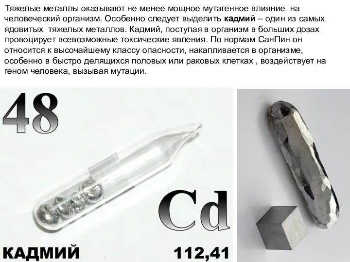 Тяжелые металлы оказывают не менее мощное мутагенное влияние на человеческий организм.