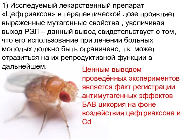 Домащенко А.Н. 1) Исследуемый лекарственный препарат «Цефтриаксон» в терапевтической дозе проявляет