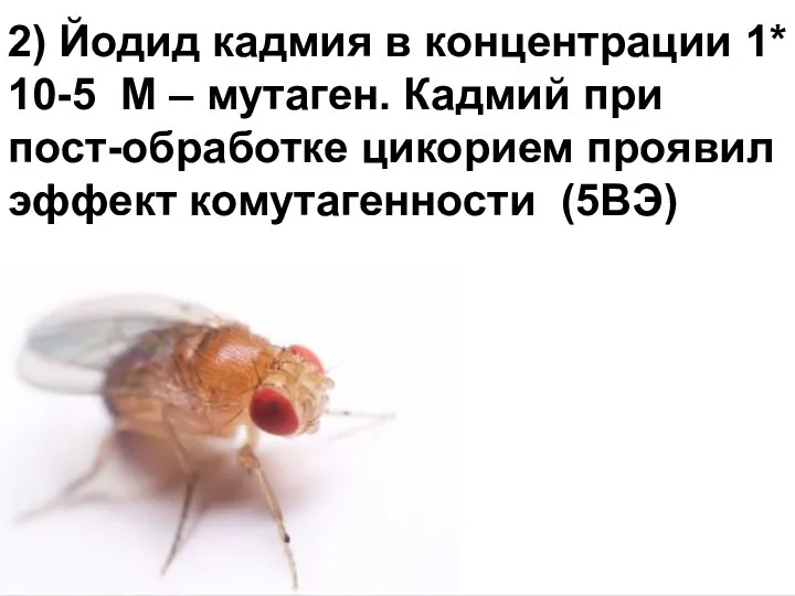 Домащенко А.Н. 2) Йодид кадмия в концентрации 1* 10-5 М –