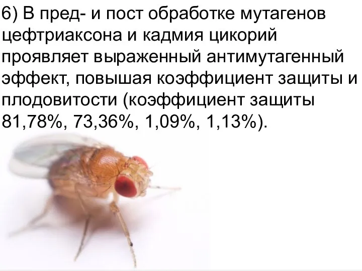 Домащенко А.Н. 6) В пред- и пост обработке мутагенов цефтриаксона и