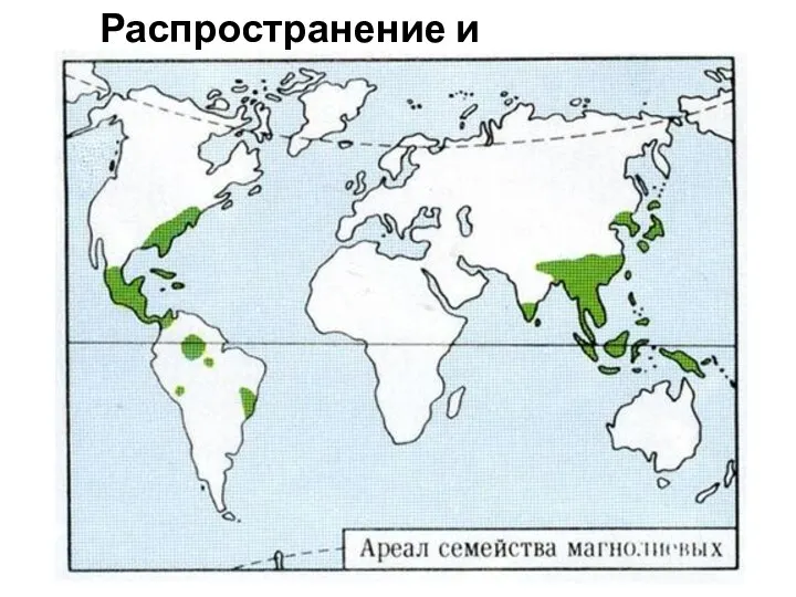 Распространение и представители