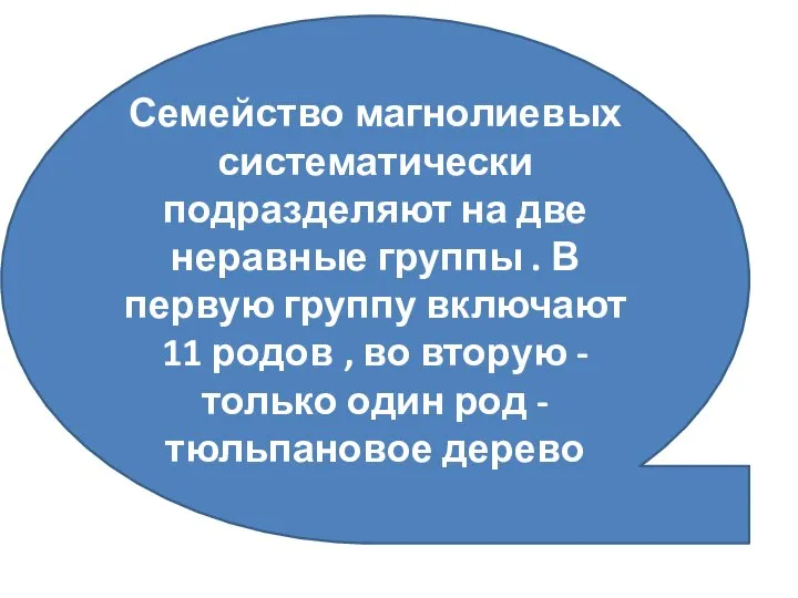 Семейство магнолиевых систематически подразделяют на две неравные группы . В первую