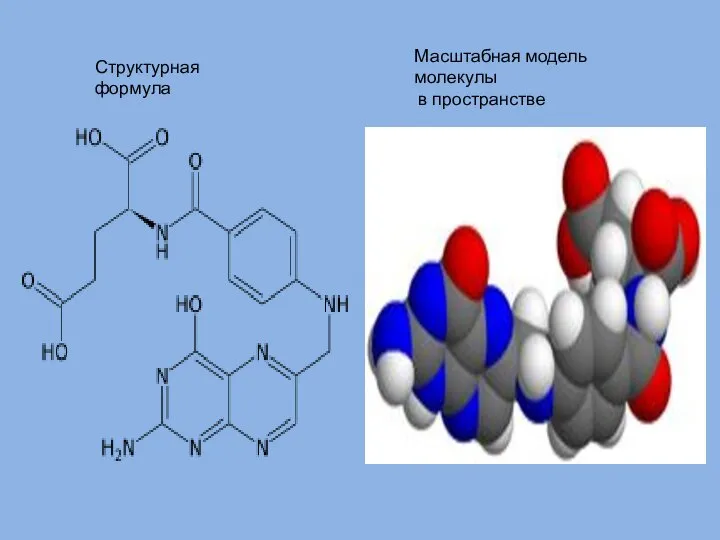 Структурная формула Масштабная модель молекулы в пространстве