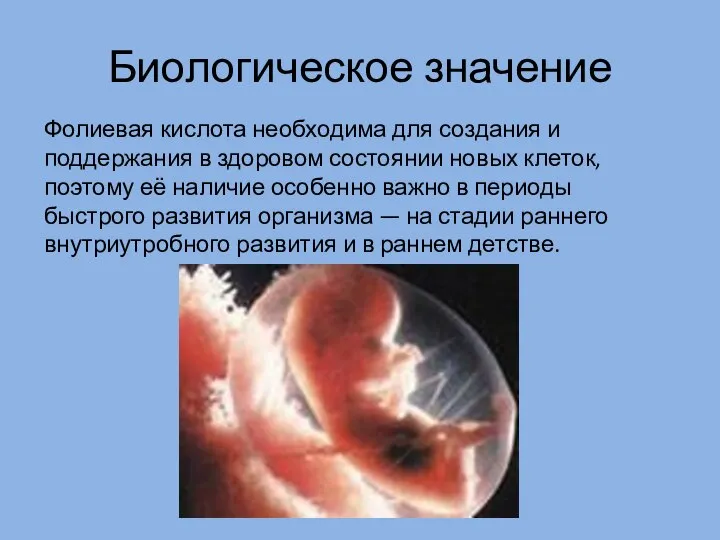 Биологическое значение Фолиевая кислота необходима для создания и поддержания в здоровом