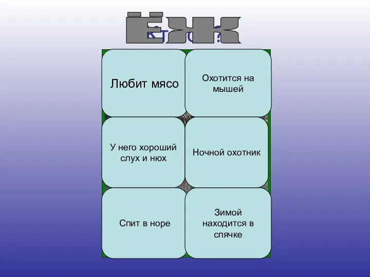 Кто он? Любит мясо Охотится на мышей У него хороший слух