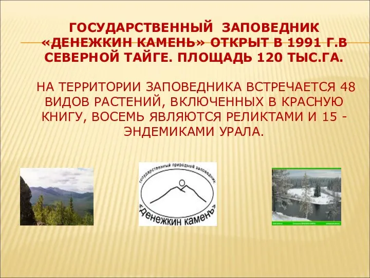 ГОСУДАРСТВЕННЫЙ ЗАПОВЕДНИК «ДЕНЕЖКИН КАМЕНЬ» ОТКРЫТ В 1991 Г.В СЕВЕРНОЙ ТАЙГЕ. ПЛОЩАДЬ