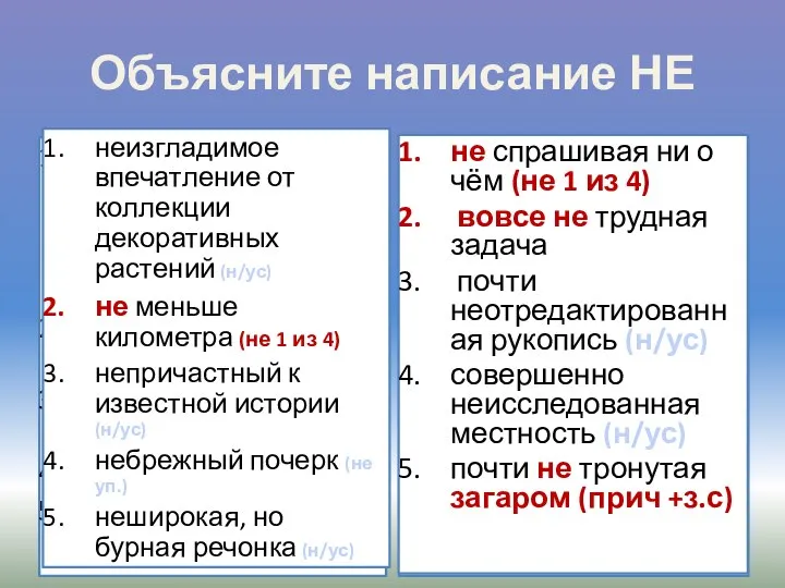 Объясните написание НЕ неизгладимое впечатление от коллекции декоративных растений; не меньше