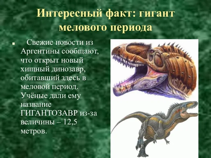 Интересный факт: гигант мелового периода Свежие новости из Аргентины сообщают, что