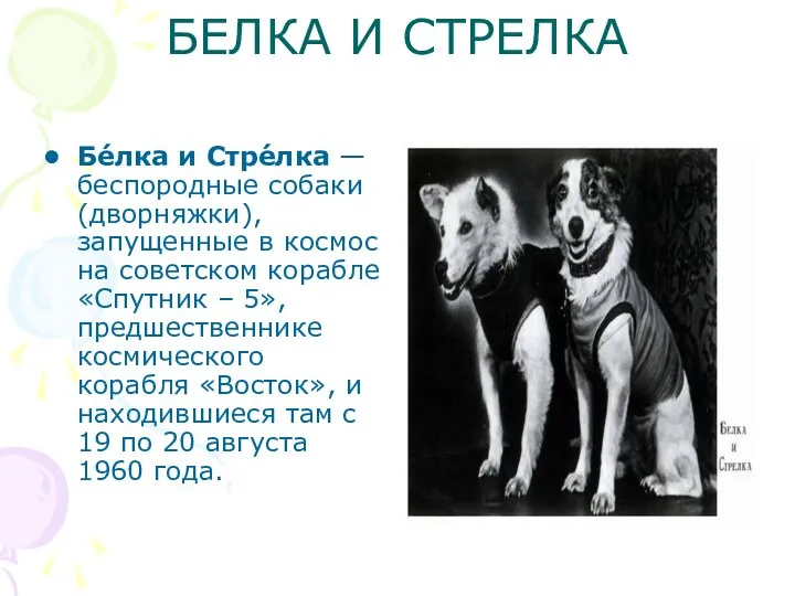 БЕЛКА И СТРЕЛКА Бе́лка и Стре́лка — беспородные собаки (дворняжки), запущенные