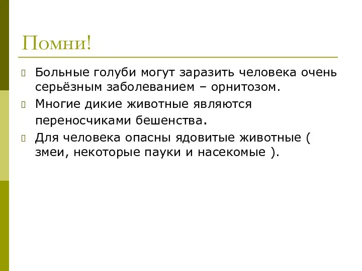 Помни! Больные голуби могут заразить человека очень серьёзным заболеванием – орнитозом.