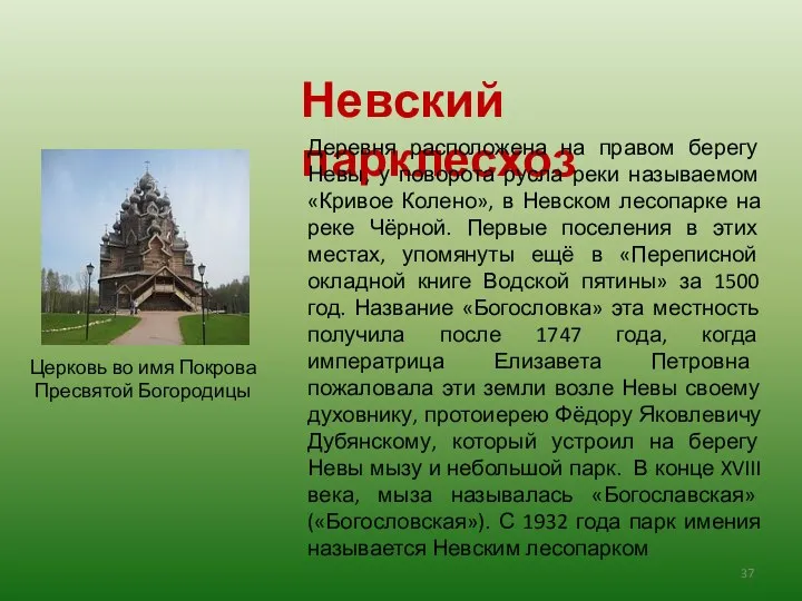 Невский парклесхоз Деревня расположена на правом берегу Невы, у поворота русла