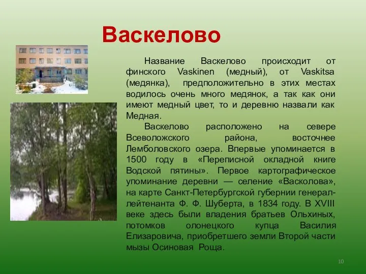 Название Васкелово происходит от финского Vaskinen (медный), от Vaskitsa (медянка), предположительно