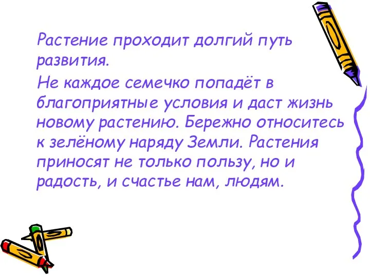 Растение проходит долгий путь развития. Не каждое семечко попадёт в благоприятные