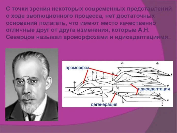 С точки зрения некоторых современных представлений о ходе эволюционного процесса, нет