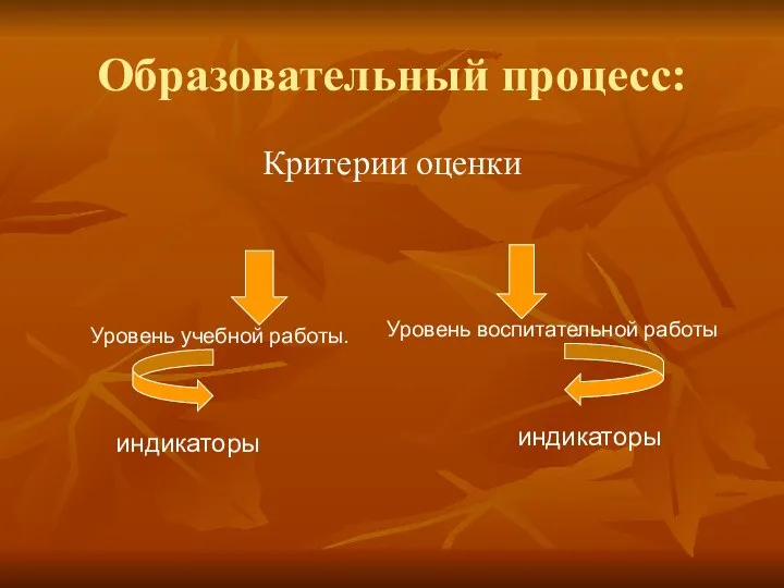 Образовательный процесс: Критерии оценки Уровень учебной работы. Уровень воспитательной работы индикаторы индикаторы