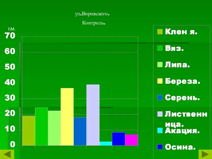 ул.Воровского. Контроль. см.