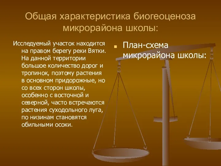 Общая характеристика биогеоценоза микрорайона школы: Исследуемый участок находится на правом берегу