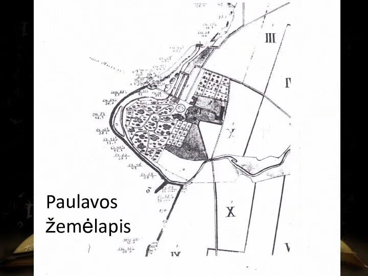 Paulavos žemėlapis
