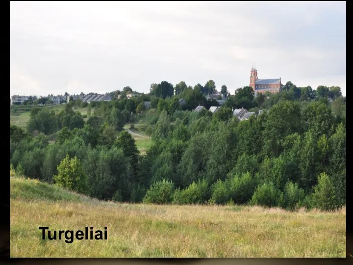 Turgeliai