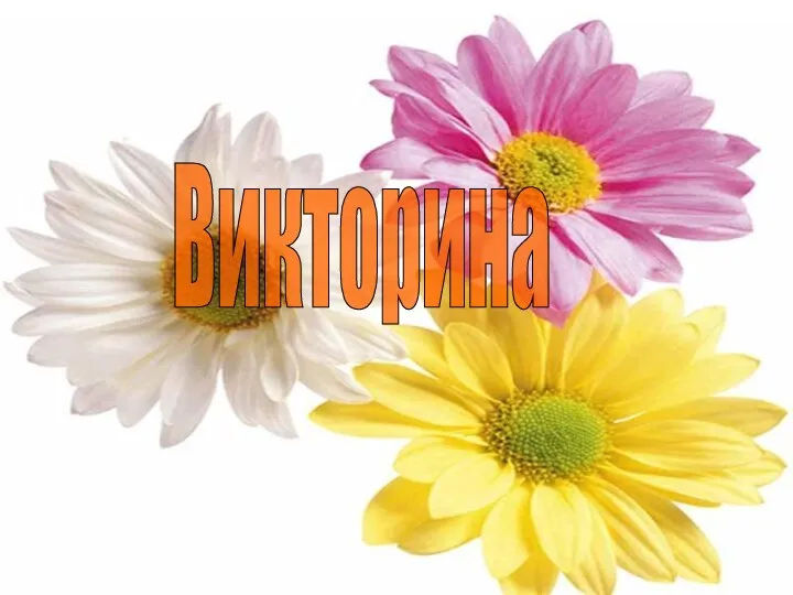 Викторина