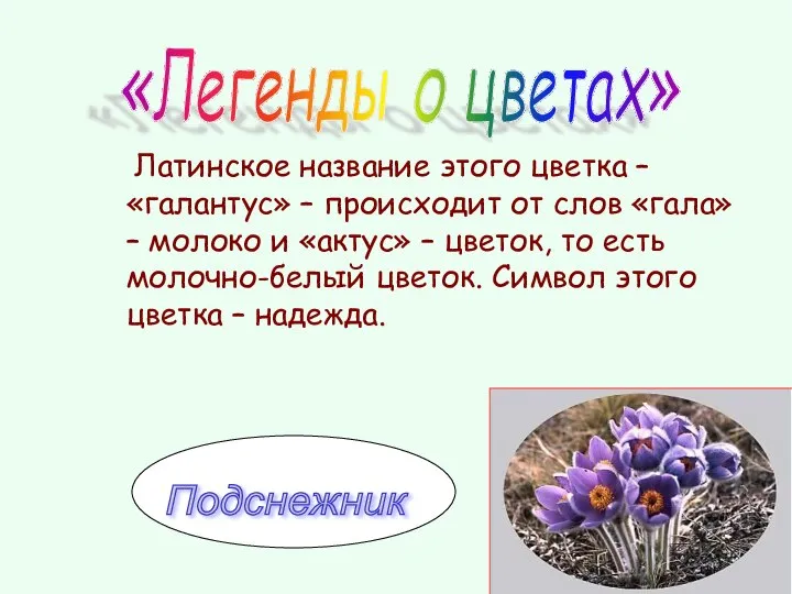 Латинское название этого цветка – «галантус» – происходит от слов «гала»