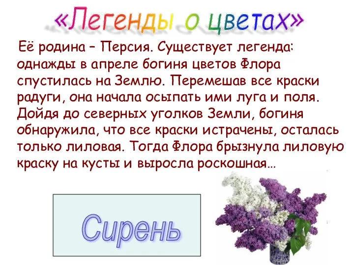 Её родина – Персия. Существует легенда: однажды в апреле богиня цветов