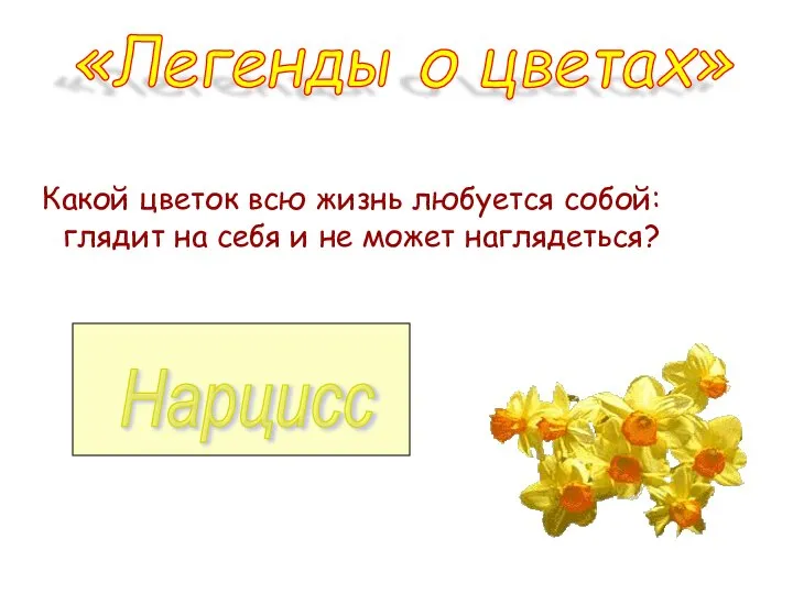 Какой цветок всю жизнь любуется собой: глядит на себя и не