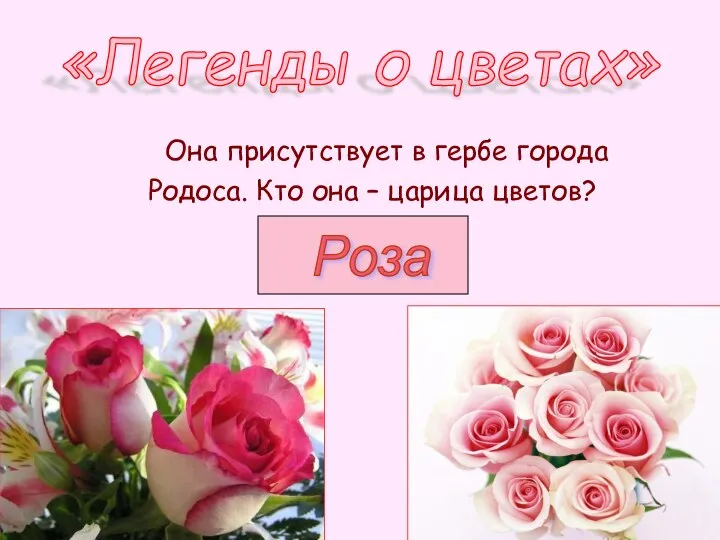 Она присутствует в гербе города Родоса. Кто она – царица цветов? «Легенды о цветах» Роза