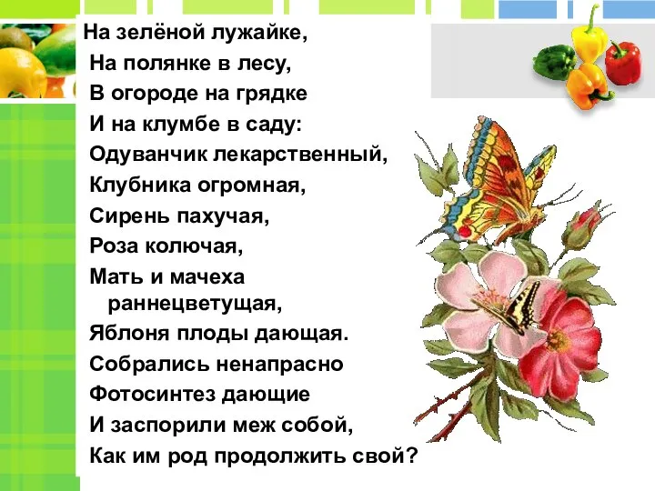 На зелёной лужайке, На полянке в лесу, В огороде на грядке