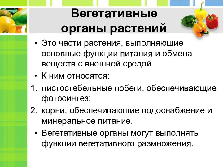 Вегетативные органы растений Это части растения, выполняющие основные функции питания и