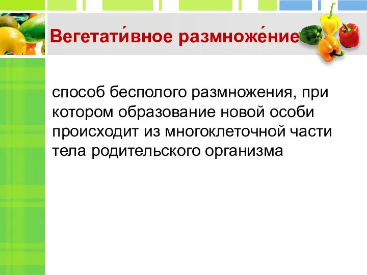 способ бесполого размножения, при котором образование новой особи происходит из многоклеточной